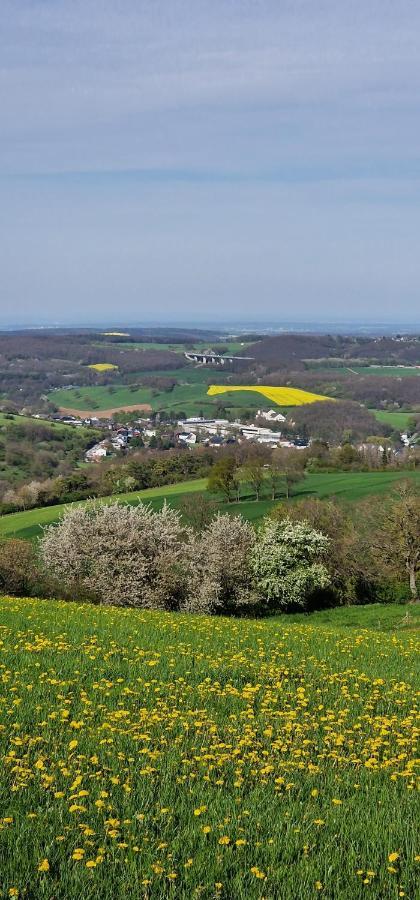Apartament Gemuetliche Auszeit In Der Eifel Mechernich Zewnętrze zdjęcie